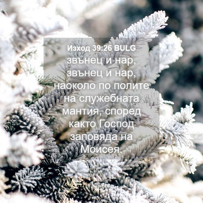 Picture 04 - Изход 39:26 BULG - звънец и нар, звънец и нар, - Bible Verse Picture