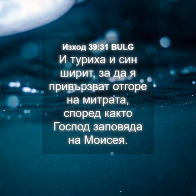 Picture 04 - Изход 39:31 BULG - И туриха и син ширит, за да - Bible Verse Picture