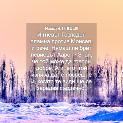 Picture 04 - Изход 4:14 BULG - И гневът Господен пламна - Bible Verse Picture