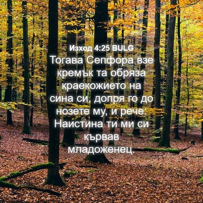 Picture 04 - Изход 4:25 BULG - Тогава Сепфора взе кремък - Bible Verse Picture