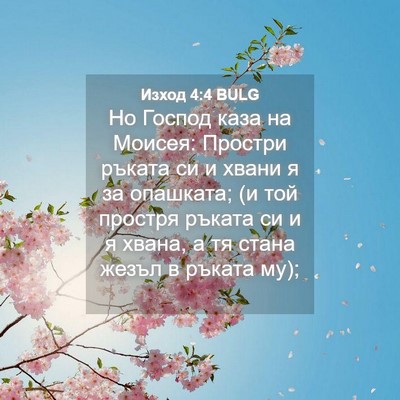 Picture 04 - Изход 4:4 BULG - Но Господ каза на Моисея: - Bible Verse Picture