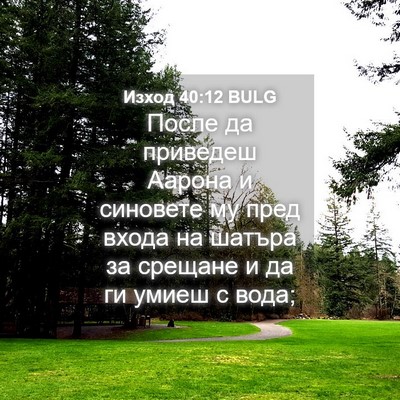 Picture 04 - Изход 40:12 BULG - После да приведеш Аарона и - Bible Verse Picture