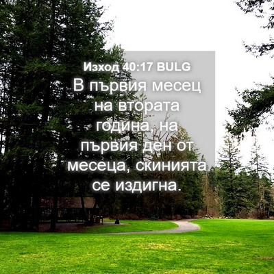 Picture 04 - Изход 40:17 BULG - В първия месец на втората - Bible Verse Picture