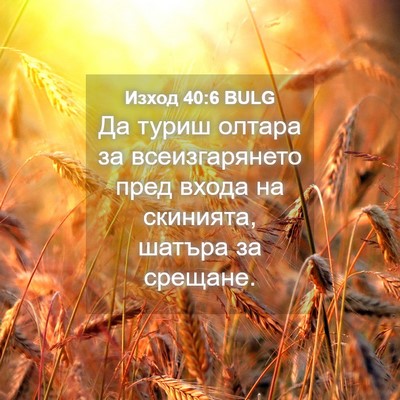 Picture 04 - Изход 40:6 BULG - Да туриш олтара за - Bible Verse Picture