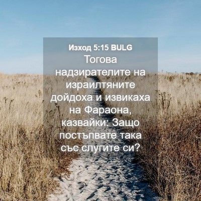 Picture 04 - Изход 5:15 BULG - Тогова надзирателите на - Bible Verse Picture