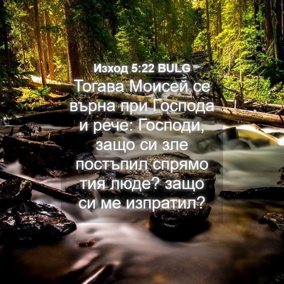 Picture 04 - Изход 5:22 BULG - Тогава Моисей се върна при - Bible Verse Picture