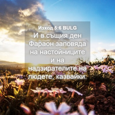 Picture 04 - Изход 5:6 BULG - И в същия ден Фараон - Bible Verse Picture