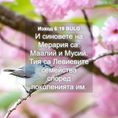 Picture 04 - Изход 6:19 BULG - И синовете на Мерария са: - Bible Verse Picture