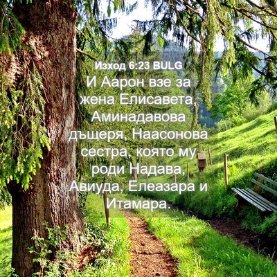 Picture 04 - Изход 6:23 BULG - И Аарон взе за жена - Bible Verse Picture