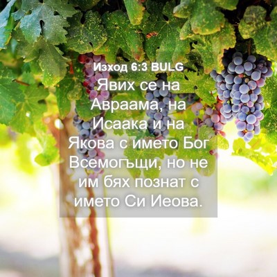 Picture 04 - Изход 6:3 BULG - Явих се на Авраама, на - Bible Verse Picture