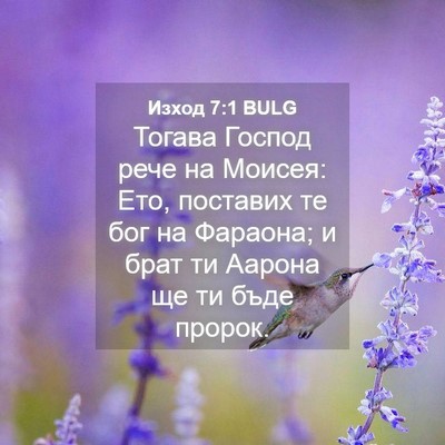 Picture 04 - Изход 7:1 BULG - Тогава Господ рече на - Bible Verse Picture