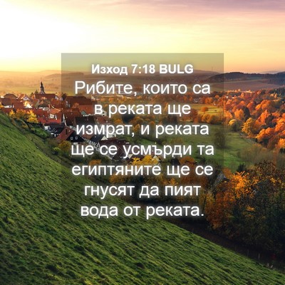 Picture 04 - Изход 7:18 BULG - Рибите, които са в реката - Bible Verse Picture