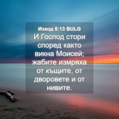 Picture 04 - Изход 8:13 BULG - И Господ стори според - Bible Verse Picture
