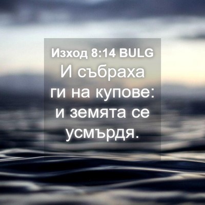 Picture 04 - Изход 8:14 BULG - И събраха ги на купове: и - Bible Verse Picture