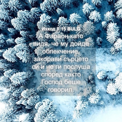 Picture 04 - Изход 8:15 BULG - А Фараон като видя, че му - Bible Verse Picture
