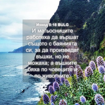 Picture 04 - Изход 8:18 BULG - И магьосниците работеха да - Bible Verse Picture