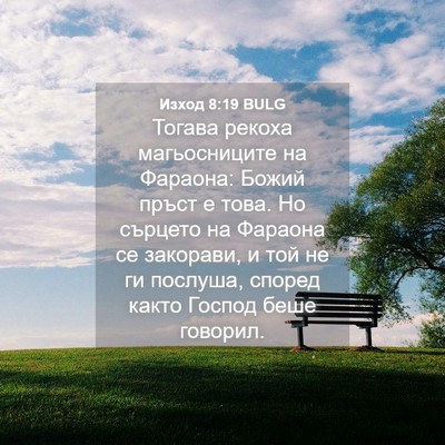 Picture 04 - Изход 8:19 BULG - Тогава рекоха - Bible Verse Picture