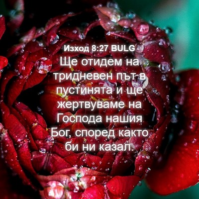 Picture 04 - Изход 8:27 BULG - Ще отидем на тридневен път - Bible Verse Picture
