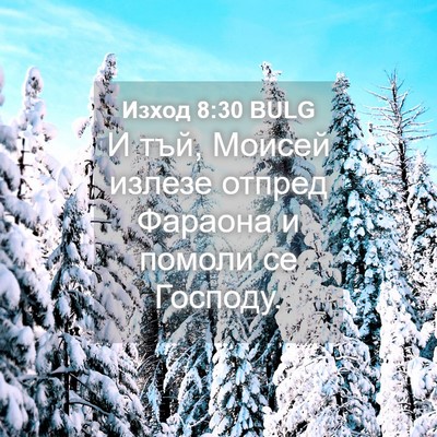 Picture 04 - Изход 8:30 BULG - И тъй, Моисей излезе отпред - Bible Verse Picture