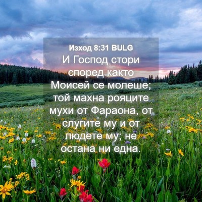 Picture 04 - Изход 8:31 BULG - И Господ стори според - Bible Verse Picture