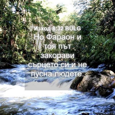 Picture 04 - Изход 8:32 BULG - Но Фараон и тоя път - Bible Verse Picture