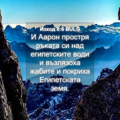 Picture 04 - Изход 8:6 BULG - И Аарон простря ръката си - Bible Verse Picture