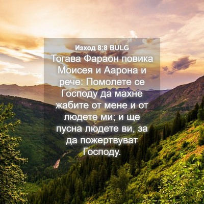 Picture 04 - Изход 8:8 BULG - Тогава Фараон повика - Bible Verse Picture