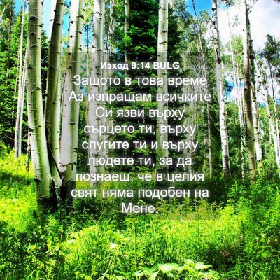 Picture 04 - Изход 9:14 BULG - Защото в това време Аз - Bible Verse Picture