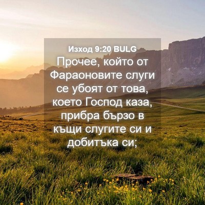 Picture 04 - Изход 9:20 BULG - Прочее, който от - Bible Verse Picture