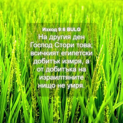 Picture 04 - Изход 9:6 BULG - На другия ден Господ Стори - Bible Verse Picture