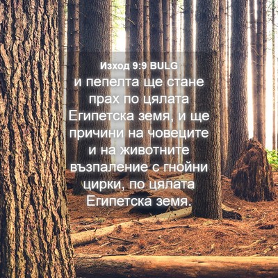 Picture 04 - Изход 9:9 BULG - и пепелта ще стане прах по - Bible Verse Picture