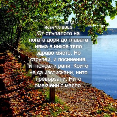 Picture 04 - Исая 1:6 BULG - От стъпалото на ногата - Bible Verse Picture