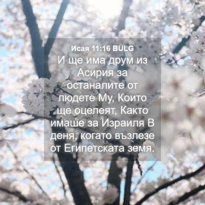 Picture 04 - Исая 11:16 BULG - И ще има друм из Асирия за - Bible Verse Picture