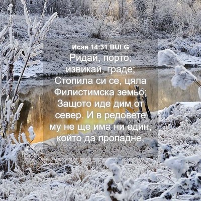 Picture 04 - Исая 14:31 BULG - Ридай, порто; извикай, - Bible Verse Picture