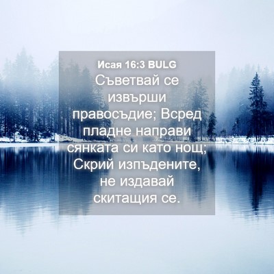 Picture 04 - Исая 16:3 BULG - Съветвай се извърши - Bible Verse Picture