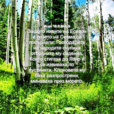 Picture 04 - Исая 16:8 BULG - Защото нивите на Есевон и - Bible Verse Picture