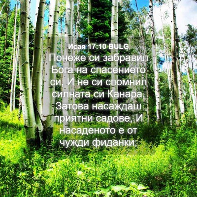Picture 04 - Исая 17:10 BULG - Понеже си забравил Бога на - Bible Verse Picture