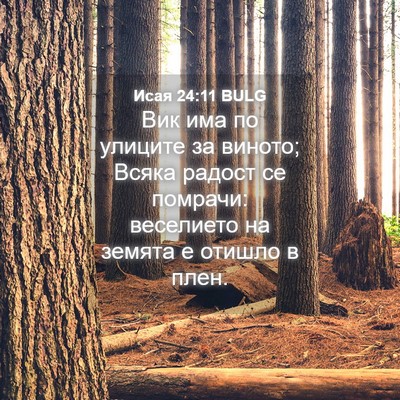 Picture 04 - Исая 24:11 BULG - Вик има по улиците за - Bible Verse Picture