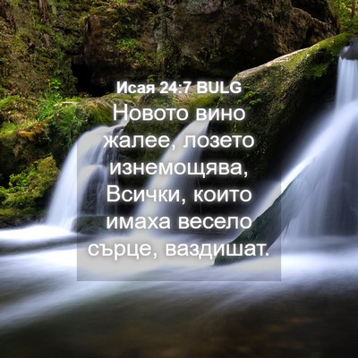 Picture 04 - Исая 24:7 BULG - Новото вино жалее, лозето - Bible Verse Picture