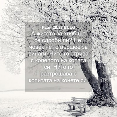 Picture 04 - Исая 28:28 BULG - А житото за хляб ще се - Bible Verse Picture