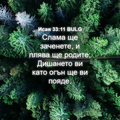 Picture 04 - Исая 33:11 BULG - Слама ще заченете, и плява - Bible Verse Picture