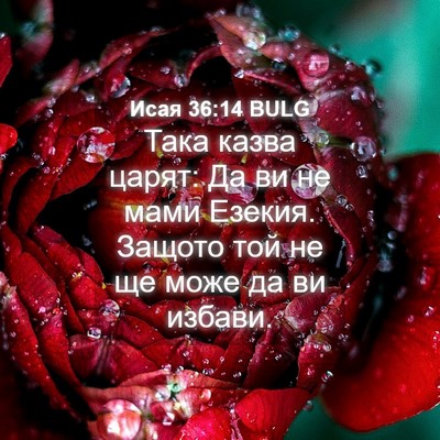 Picture 04 - Исая 36:14 BULG - Така казва царят: Да ви не - Bible Verse Picture