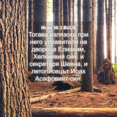 Picture 04 - Исая 36:3 BULG - Тогава излязоха при него - Bible Verse Picture