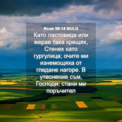Picture 04 - Исая 38:14 BULG - Като ластовица или жерав - Bible Verse Picture