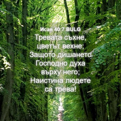 Picture 04 - Исая 40:7 BULG - Тревата съхне, цветът - Bible Verse Picture