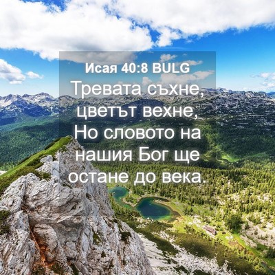 Picture 04 - Исая 40:8 BULG - Тревата съхне, цветът - Bible Verse Picture