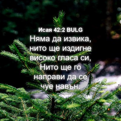 Picture 04 - Исая 42:2 BULG - Няма да извика, нито ще - Bible Verse Picture