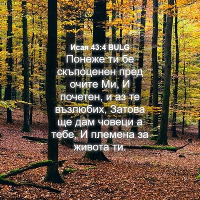 Picture 04 - Исая 43:4 BULG - Понеже ти бе скъпоценен - Bible Verse Picture