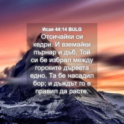 Picture 04 - Исая 44:14 BULG - Отсичайки си кедри. И - Bible Verse Picture