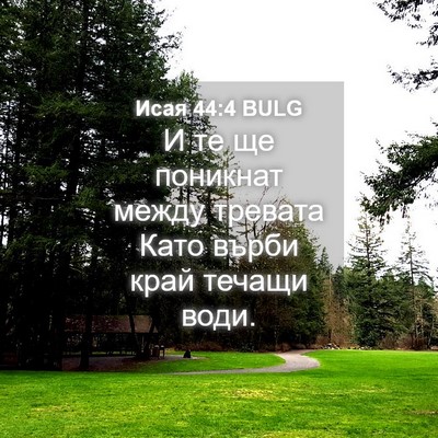 Picture 04 - Исая 44:4 BULG - И те ще поникнат между - Bible Verse Picture